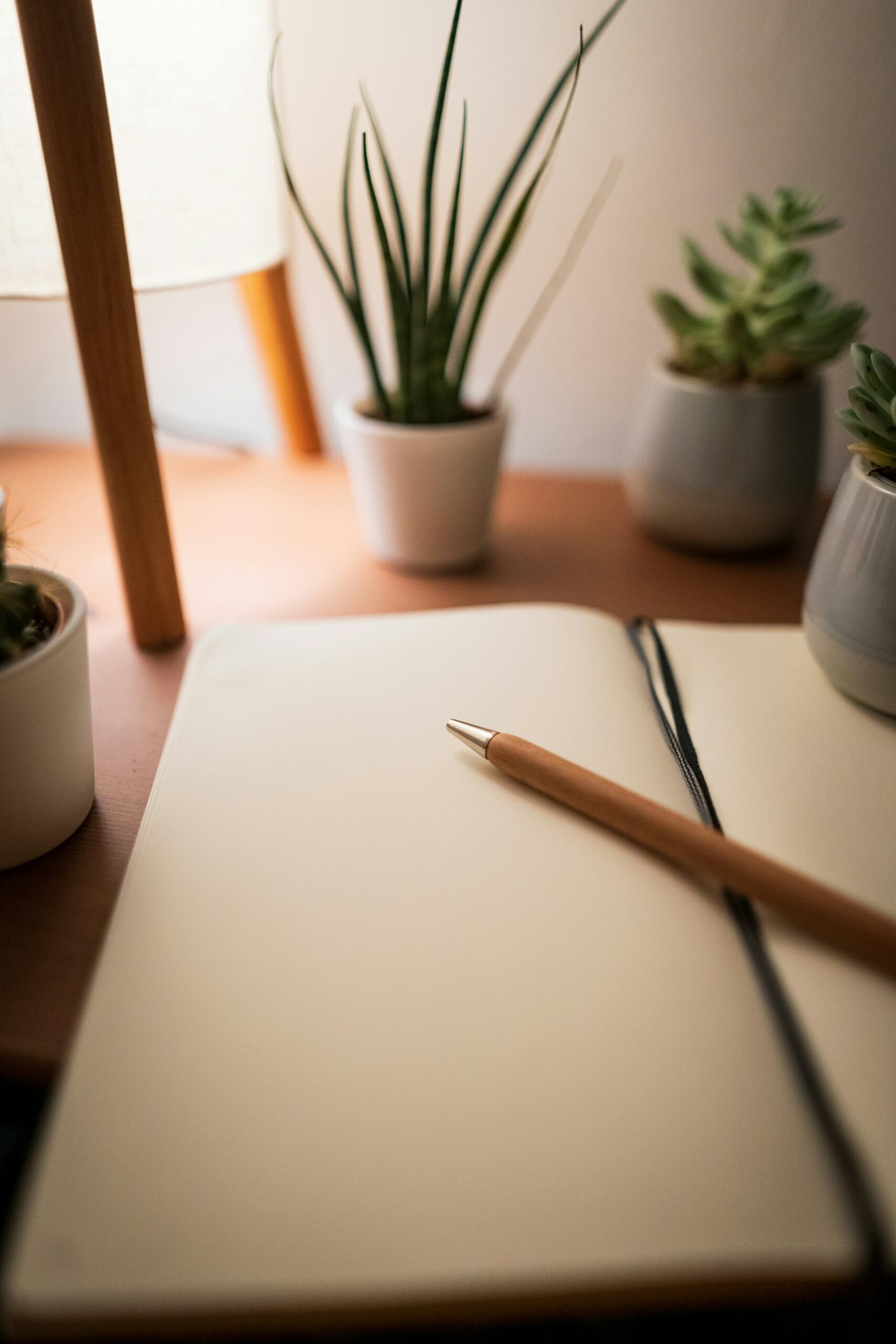 ecriture-bilan-de-competence-la-parenthese-max-saeling-_CGxNOLM1gQ-unsplash ecriture seance bilan de competence coaching professionnelle la parenthese cugand clisson boussay